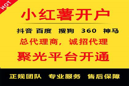 成功SEM托管案例解析